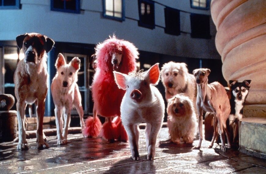 Babe: Pig in the City (1998)