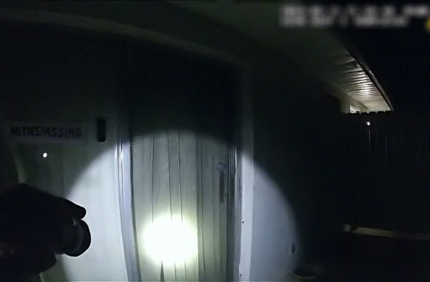 The Perfect Neighbor (2025)